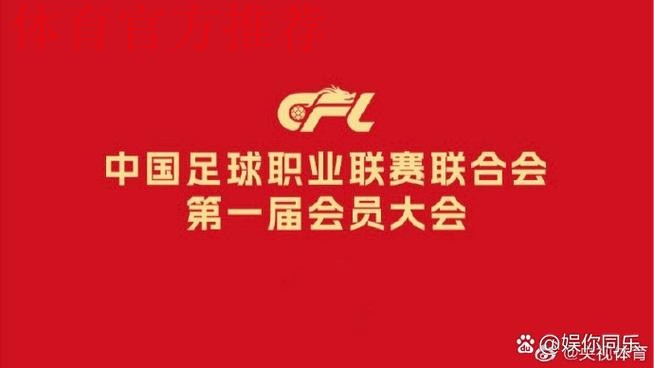 中国足协关于推进职业联赛理事会相关工作的说明 中国足协关于推进职业联赛理事会相关工作的说明